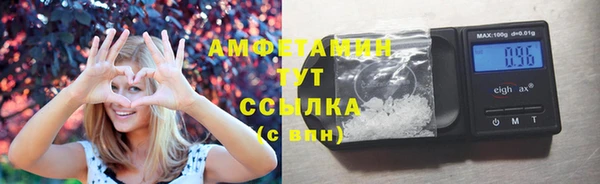 apvp Богородицк
