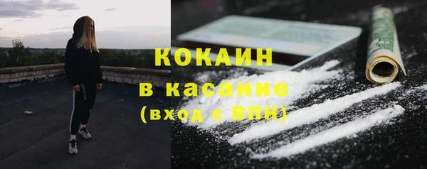 apvp Богородицк
