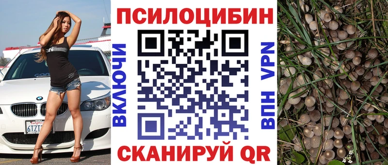Галлюциногенные грибы ЛСД  купить наркоту  даркнет официальный сайт  Котельниково  blacksprut зеркало 